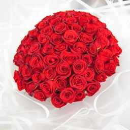 گلفروشی رز طلایی
