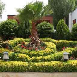 نهالستان احمدی خوشنام