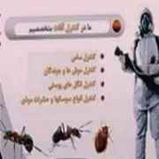 شرکت خدمات سم پاشی بشارت در اهواز