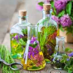 تولید و فروش عرقیات ترگل سرآسیاب بادرود ورآسیاو