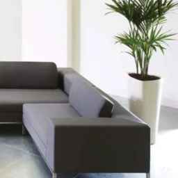 شرکت تولیدات صنایع دستی هنر چوب  در تبریز