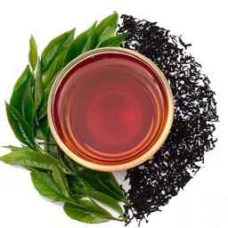 چای سیاهمزگی در گیلان