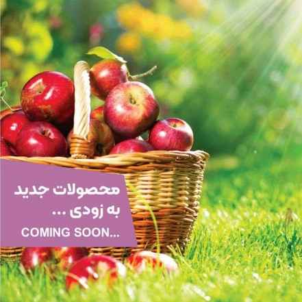 محصولات جدید (به زودی)