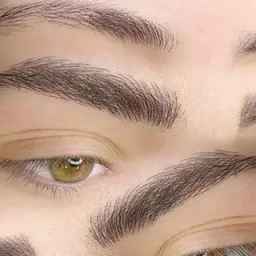 میکروبلیدینگ وتاتوحسینی در مازندران