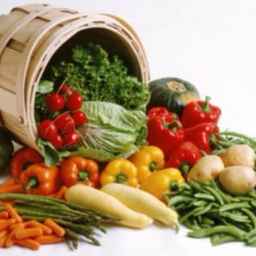 بازرگانی تجارت و فروش صیفی جات خشک و تر پویامهر در خوزستان