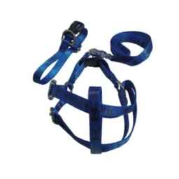 تولیدی قلاده و افسار قربان پور در گلستان