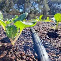 فروش لوله های پلی اتیلن و نوار تیپ آبیاری زارع نمایندگی رسمی پلی ران در مشهد