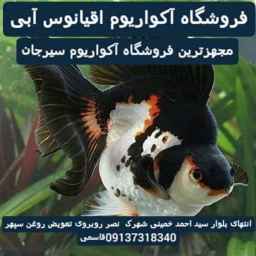 فروشگاه آکواریوم اقیانوس آبی سیرجان در سیرجان