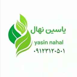 Damavand'da Yassin Kreş