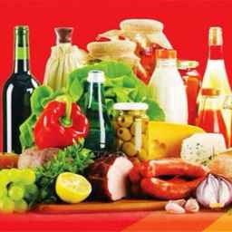مشاور و محقق صنایع غذایی دلیر در انزلی