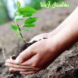 نهالستان آریانا
