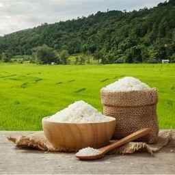 Ramadan rice, sale of Tarem Hashemi rice in Babylon