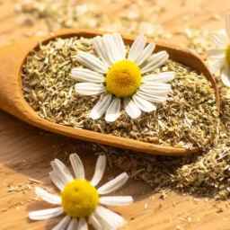 گیاهان دارویی شیبانی، فروش عمده گیاه آویشن و بابونه در شیراز