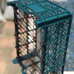 گروه صنعتی مجید پلاست شندی، تولید انواع سبد پلاستیکی میوه در تبریز