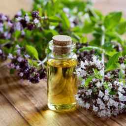 تولیدی به آور، تولید روغن های گیاهی در اصفهان