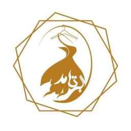 آکادمی بیتامد