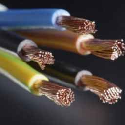 جِی جِی کالا