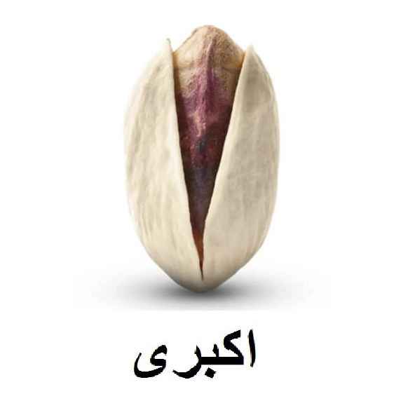 پسته اکبری