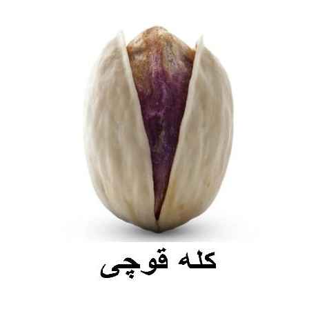 پسته کله قوچی