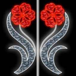 شرکت عالی نور