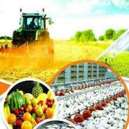 مرکز خدمات کشاورزی غیردولتی تک آغاج