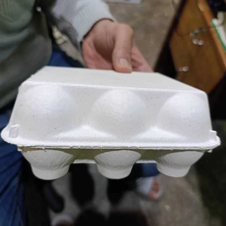 شانه تخم مرغ کاغذی درب دار ۶ تایی