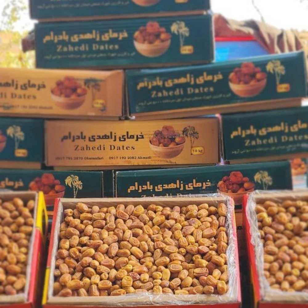 خرما زاهدی