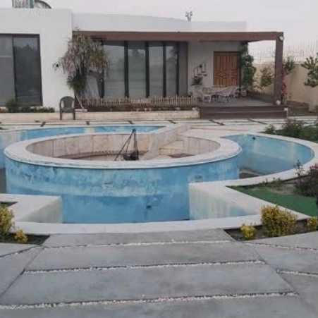 کد 142
