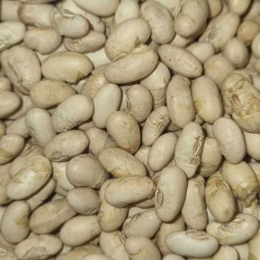سویای برشته آجیلی