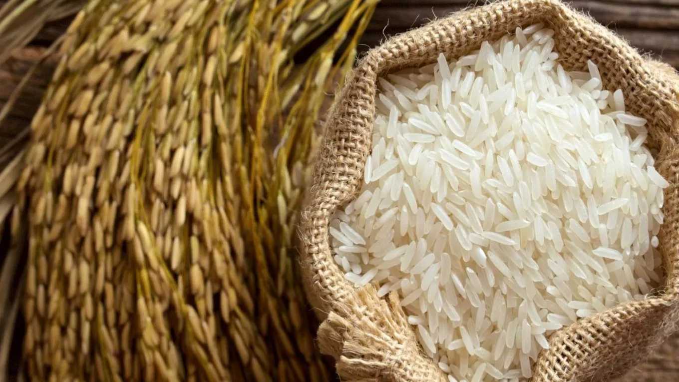 بازرگانی برنج قنبری در طوالش