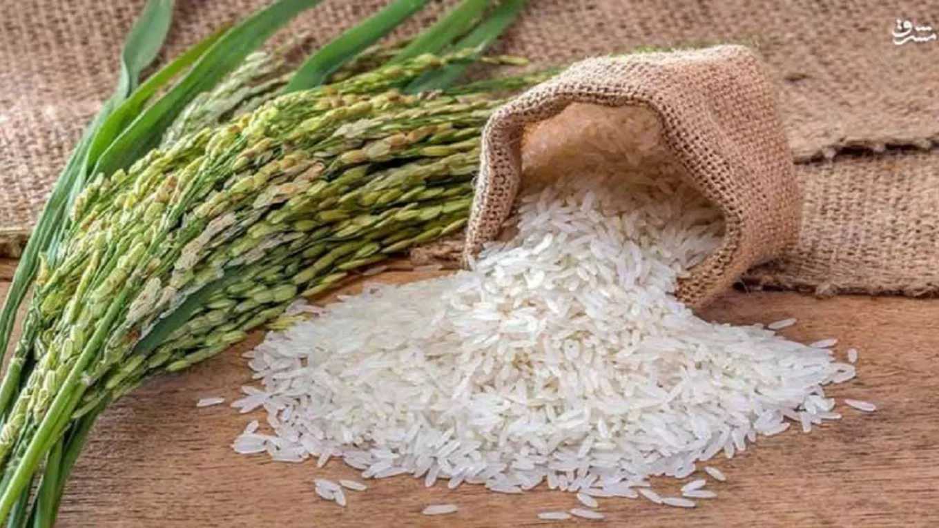 گروه تولیدی برنج احمدنیا