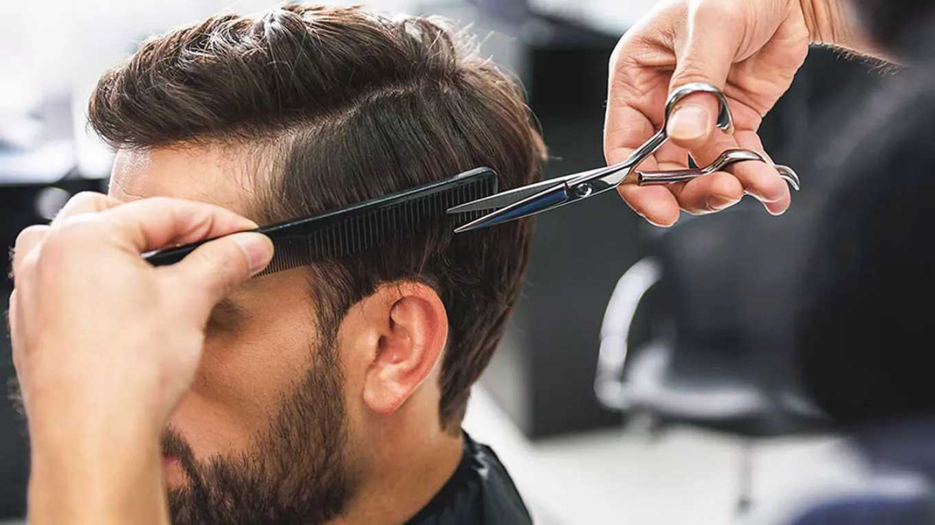 پیرایش مدرن شاهین در رشت