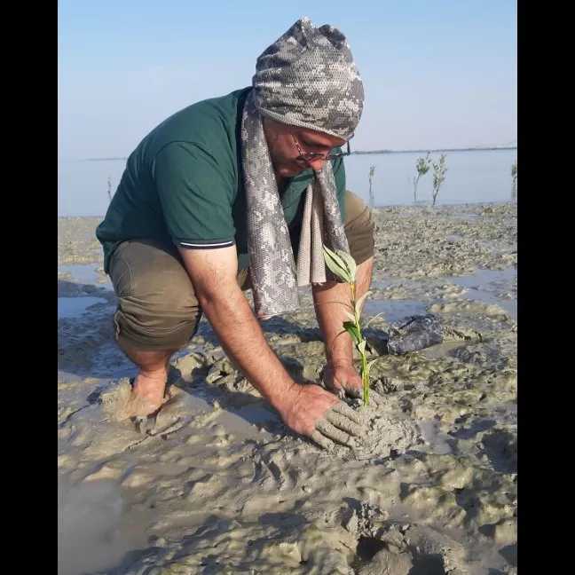 کاشت نهال برای حفظ جنگل حرا