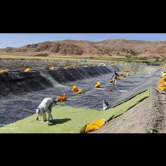 استخرهای تولید آرتمیا
