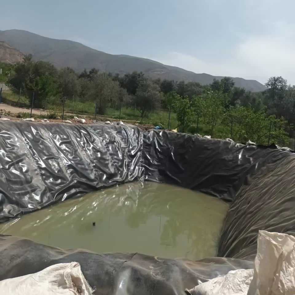 ورق ژئوممبران