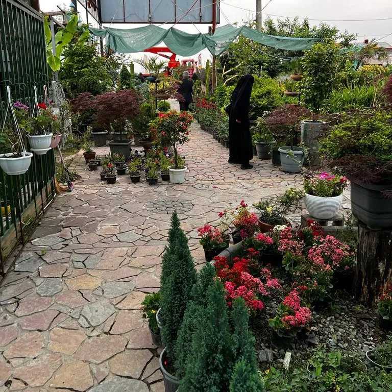 محصولات مجموعه ی گیل گل