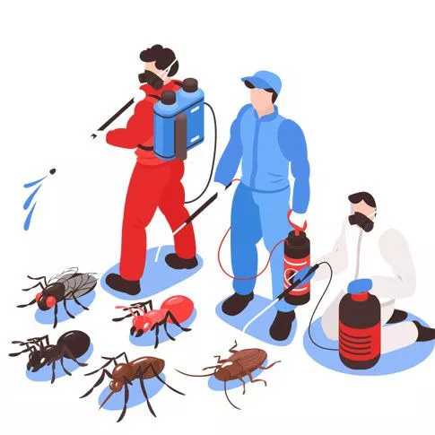 سم پاشی لایق
