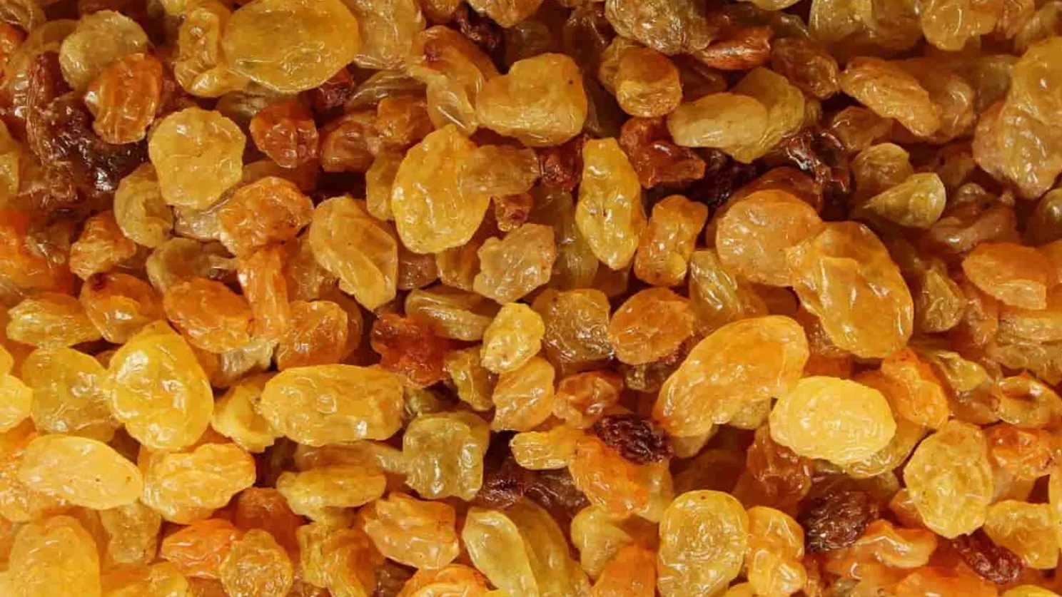 انواع محصولات صادراتی ایران