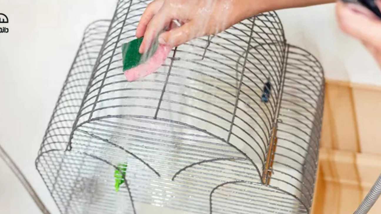 نکاتی برای تمیز کردن قفس پرنده
