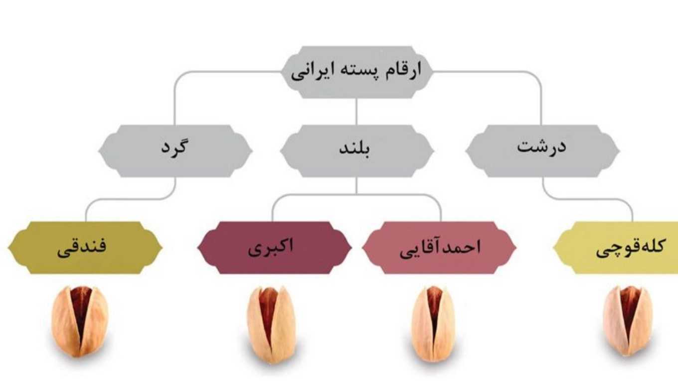 انواع پسته ایران و فرآورده های آن
