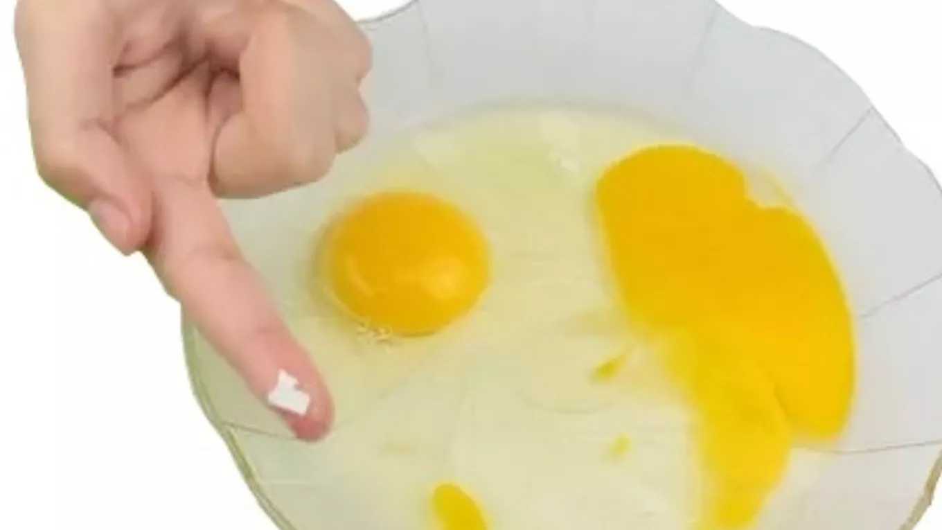 دانستنی های پرکاربرد درباره آشپزی و وسایل آشپزخانه