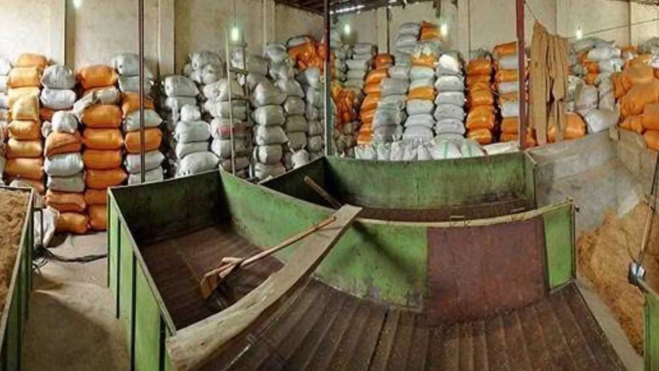 مراحل تبدیل شالی به برنج (نحوه عملکرد دستگاه شالیکوبی)