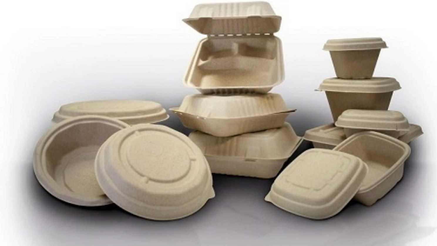 بررسی انواع مختلف ظروف یکبار مصرف