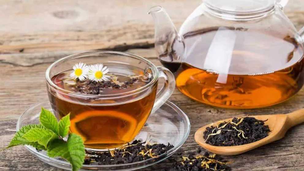 تولید مرغوب ترین چای بهاره ایران در شرکت عطاکوه لاهیجان