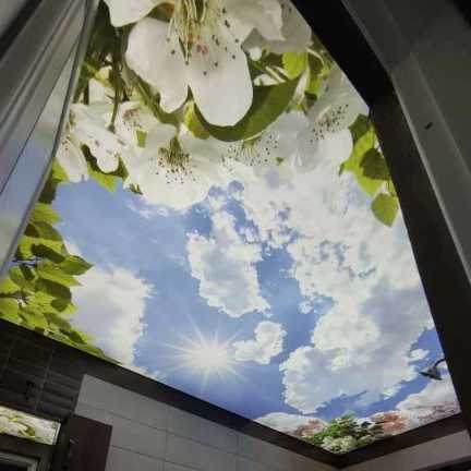 اجرای سقف کشسان