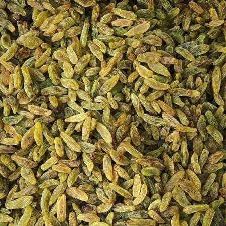 کشمش