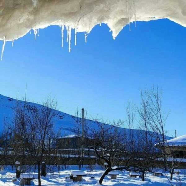 بوم گردی میا در مازندران