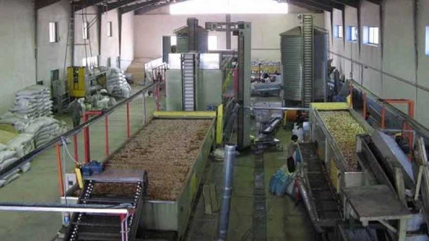 مزایای استفاده از دستگاه سورتینگ پسته