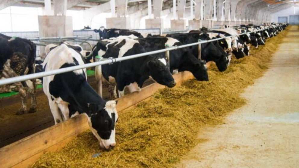 چرا باید از خوراک پلت استفاده کنیم؟