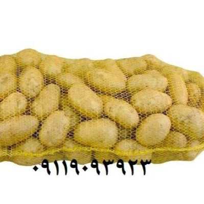 توری میوه و سبزی